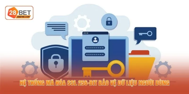 Hệ thống mã hóa SSL 256-bit bảo vệ dữ liệu người dùng
