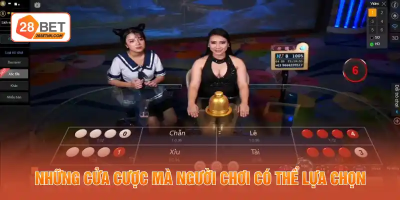 Những cửa cược mà người chơi có thể lựa chọn